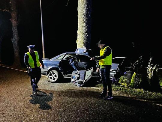 25-latek uderzył audi w przydrożne drzewo