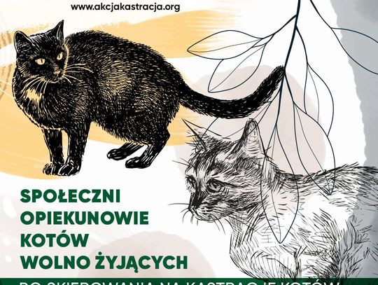 Akcja kastracja