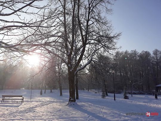 Alerty przed zmianą pogody. Opady deszczu ze śniegiem i silny wiatr