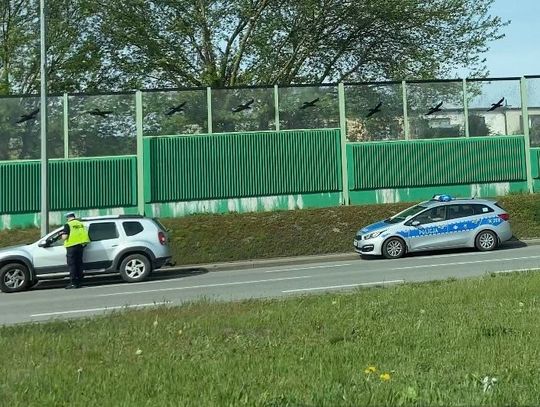 Bezpieczny Pieszy. Jutro akcja policji