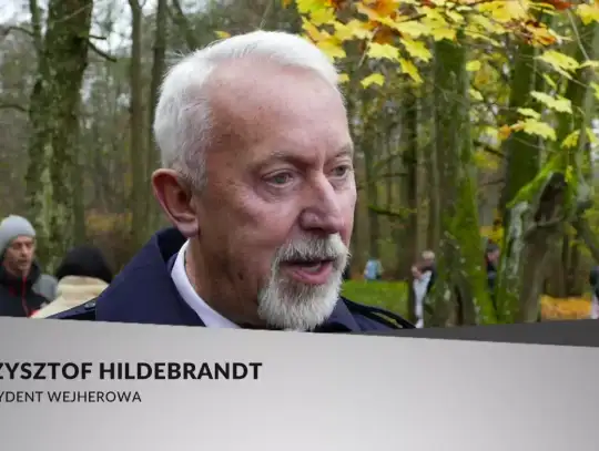 Biało-czerwony pochód. Obchody Święta Niepodległości w Parku Miejskim