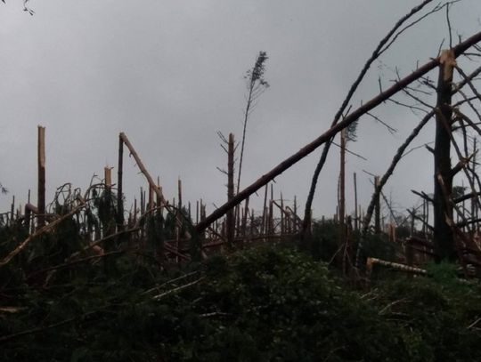 Burze i tornada. Jak się zachować...