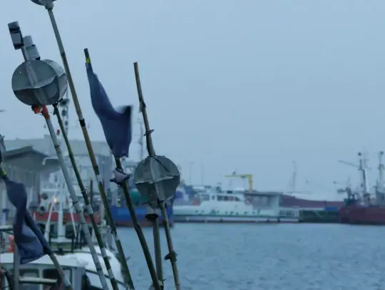 Byliśmy z kamerą w Helu. Miasto na końcu Polski zaskakuje klimatem i spokojem