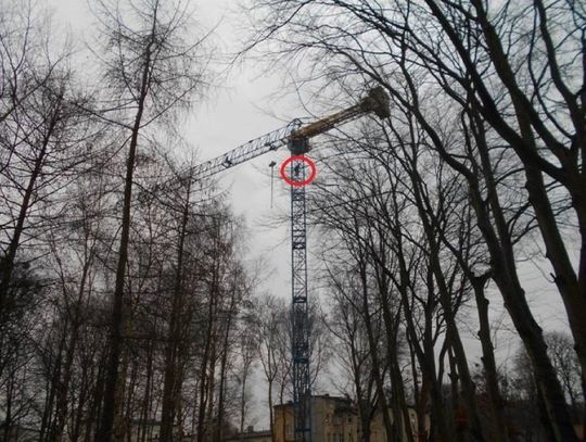 Chcieli podziwiać panoramę Wejherowa? Weszli na żuraw
