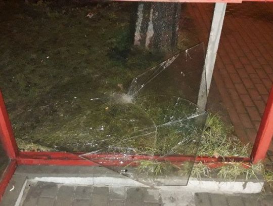 Dewastacja wiaty przystankowej.  Strażnicy zatrzymali sprawców