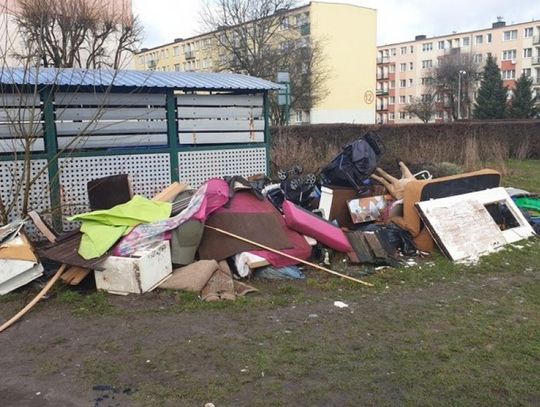 Dzikie wysypiska. Komu zależy na ich tworzeniu?