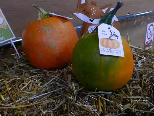 Festiwal Jesieni w Wodnych Ogrodach – aromaty, kolory i twórcze pomysły mieszkańców