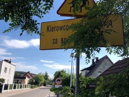 Gałęzie drzew zasłaniają znaki drogowe. Straż dokonała przeglądu