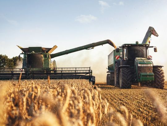Jak wapnowanie gleby wpływa na plonowanie roślin?