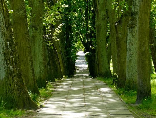 Kaszubski Park w Wejherowie (2020 rok)
