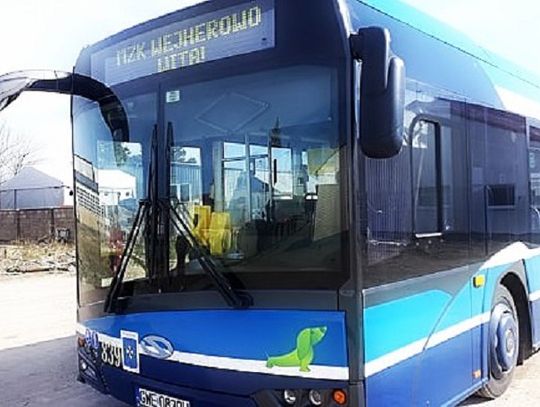 Kaszubski w autobusach. Jak sprawdził się nowatorski pomysł?