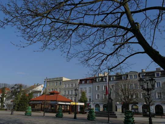 Klimatyczny wrzesień za nami. Podsumowanie akcji