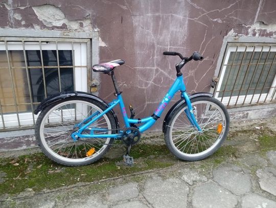 Kogo rower i...pies? Straż miejska szuka właścicieli