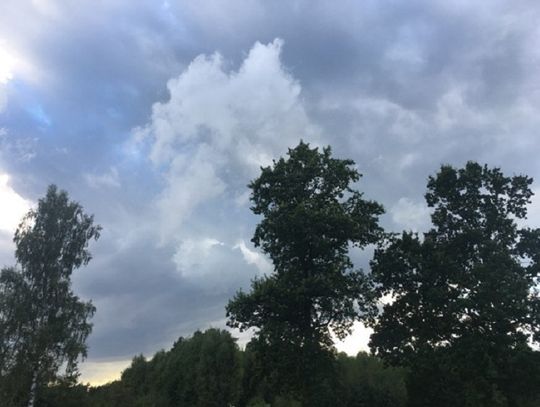 Koniec z upałami? Pogoda na najbliższy tydzień