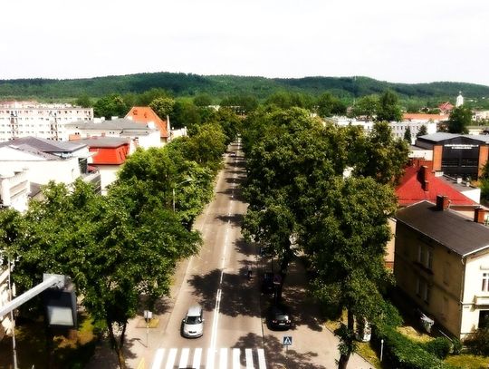 Konsultacje społeczne. Sprawdź projekty Budżetu Obywatelskiego. 