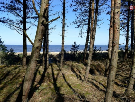 Koronawirus. Lasy, plaże, parki, place zabaw niedostępne 