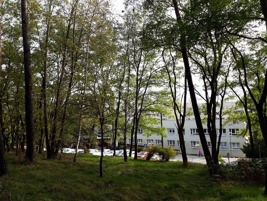 koronawirus. Wejherowski szpital otrzymał urządzenie do diagnostyki zakażeń