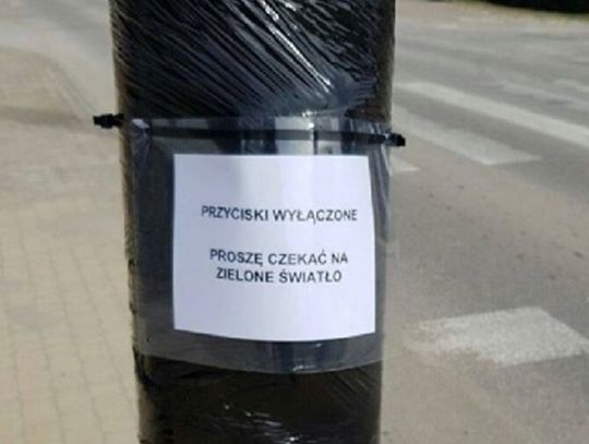 Koronawirus. Wyłączone przyciski przy przejściach dla pieszych