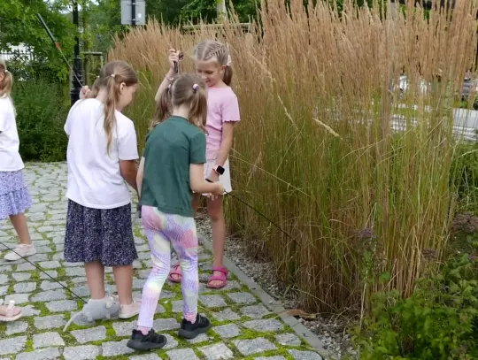 Letnie animacje pod chmurką na wejherowskim Skwerze Świętej Anny