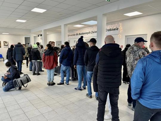 Ludzie zabierają psy ze schronisk. Fenomenalna akcja rozlewa się na całą Polskę