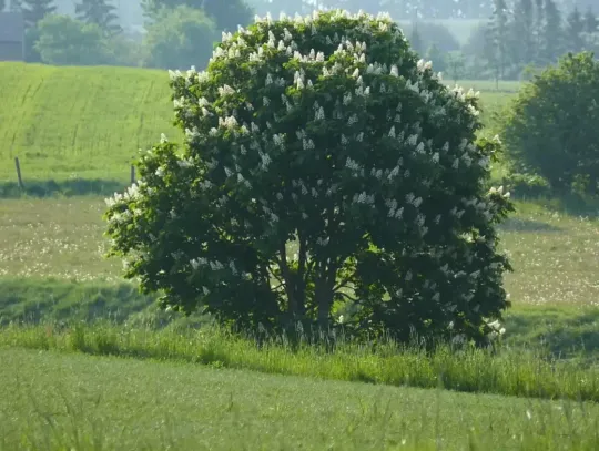 Majowe wycieczki rowerowe. Zabezpiecz jednoślad przed kradzieżą!