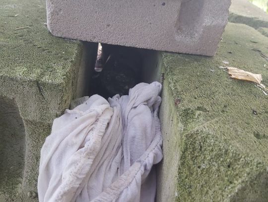 Miał kilogram amfetaminy.  Zakazane środki pomiędzy pustakami...