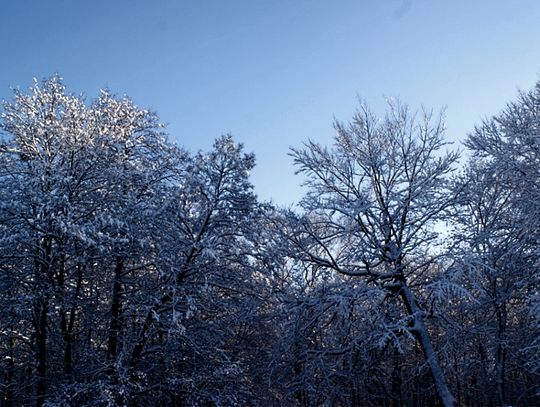 Mogą wystąpić silne podmuchy wiatry. Obficie sypnie śniegiem.