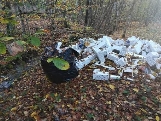 Nie wyrzucaj śmieci do lasu! Zobacz ile kosztuje sprzątanie