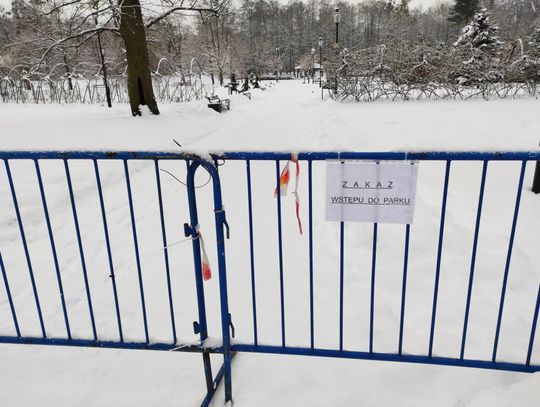 Park miejski w Wejherowie tymczasowo zamknięty. Ptasia grypa wśród łabędzi