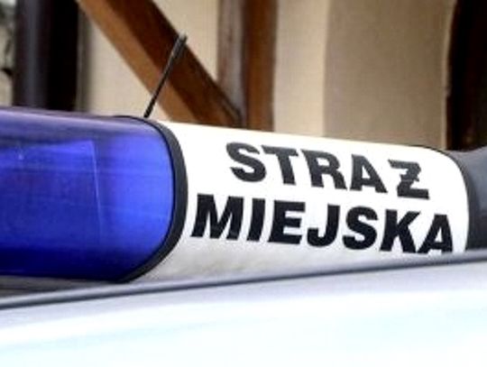 Pobił taksówkarza. Strażnicy miejscy schwytali sprawcę