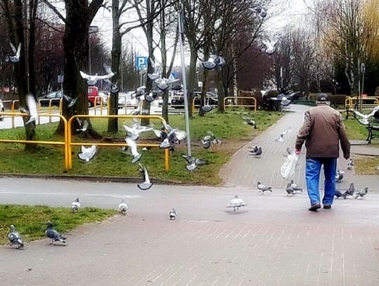 Pomorze. Przybywa nam stulatków