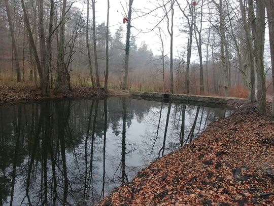 Potoki Pętkowickie. Wzmocniono zbiorniki leśne