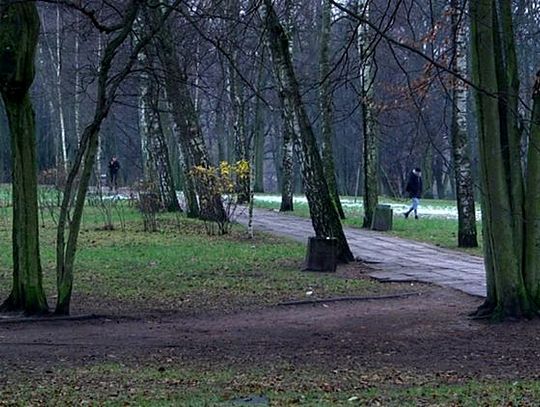 Rewitalizacja Parku Kaszubskiego. Zdecyduj jak ma wyglądać...