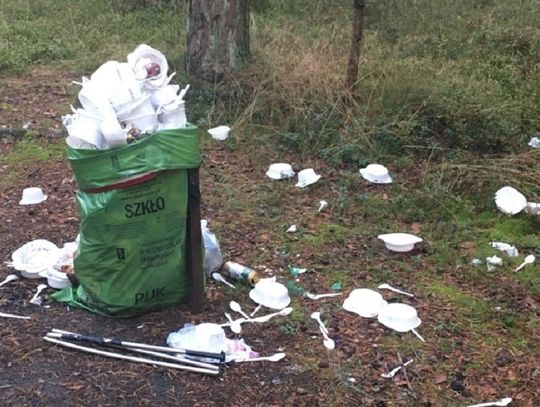 Segregacja odpadów. Ceny za wywóz śmieci zależne od mieszkańców...