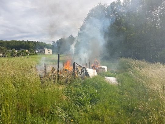 Spłonął szałas bezdomnych. Jeden na drugiego "zwala" winę. 