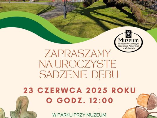 Stare drzewo odeszło, nowe zapuści korzenie – przyjdź na uroczystość w sercu wejherowskiego parku