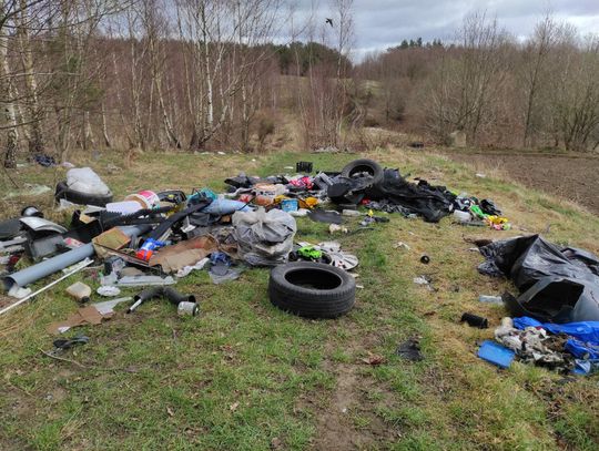 Stop zaśmiecaniu lasów. Coraz więcej fotopułapek i 10-krotnie wyższe kary