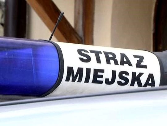 Straż miejska podsumowała 2018 rok. Więcej zdarzeń niż w roku ubiegłym