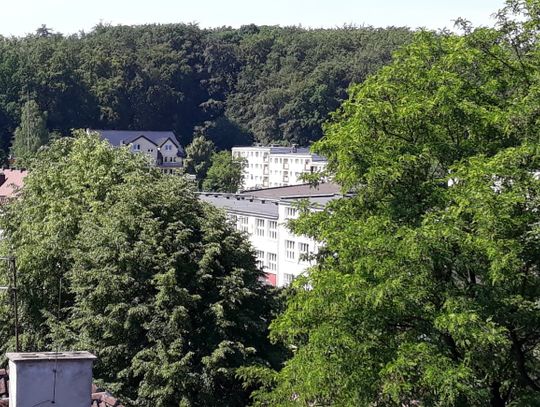 „Trzynastka”. Trafiła już do ponad 460 tys. mieszkańców Pomorza 