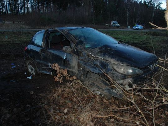 Uderzył w drzewo. Wypadek w Zbychowie