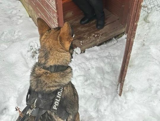 Wejherowscy policjanci uratowali życie 65-letniego mężczyzny z użyciem psa tropiącego