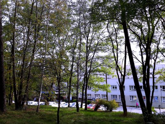Wejherowskie pielęgniarki wśród najlepszych w kraju. Innowacyjne praktyki
