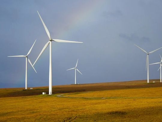 Województwo pomorskie. Chce być krajowym liderem w produkcji zielonej energii