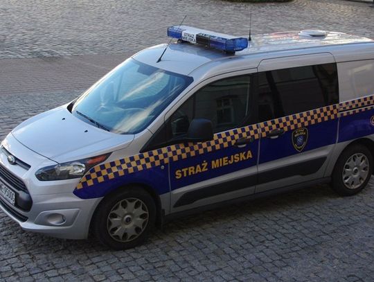 Wyjątkowi strażnicy. Pomagają zagubionym seniorom