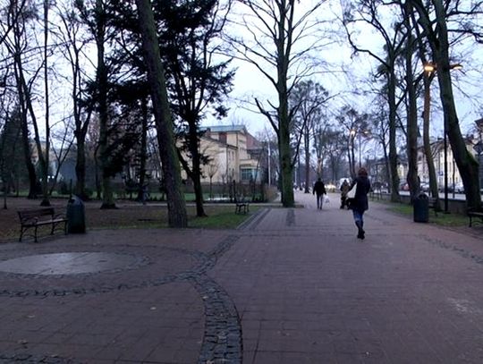 Zdecyduj o losie Parku Kaszubskiego. Do końca miesiąca trwa ankieta. 