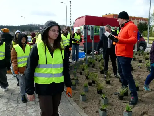 Zielona Rewolucja w Wejherowie: młodzież sadzi kwiaty na rondzie Węzeł Zryw