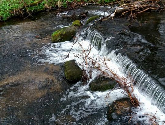 Zwyczaje wielkanocne na Kaszubach cz.2