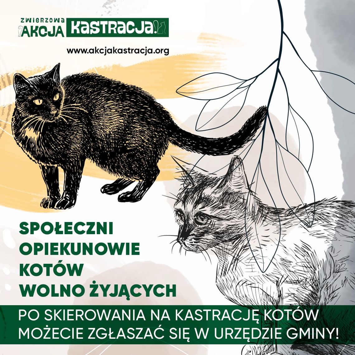 Akcja kastracja