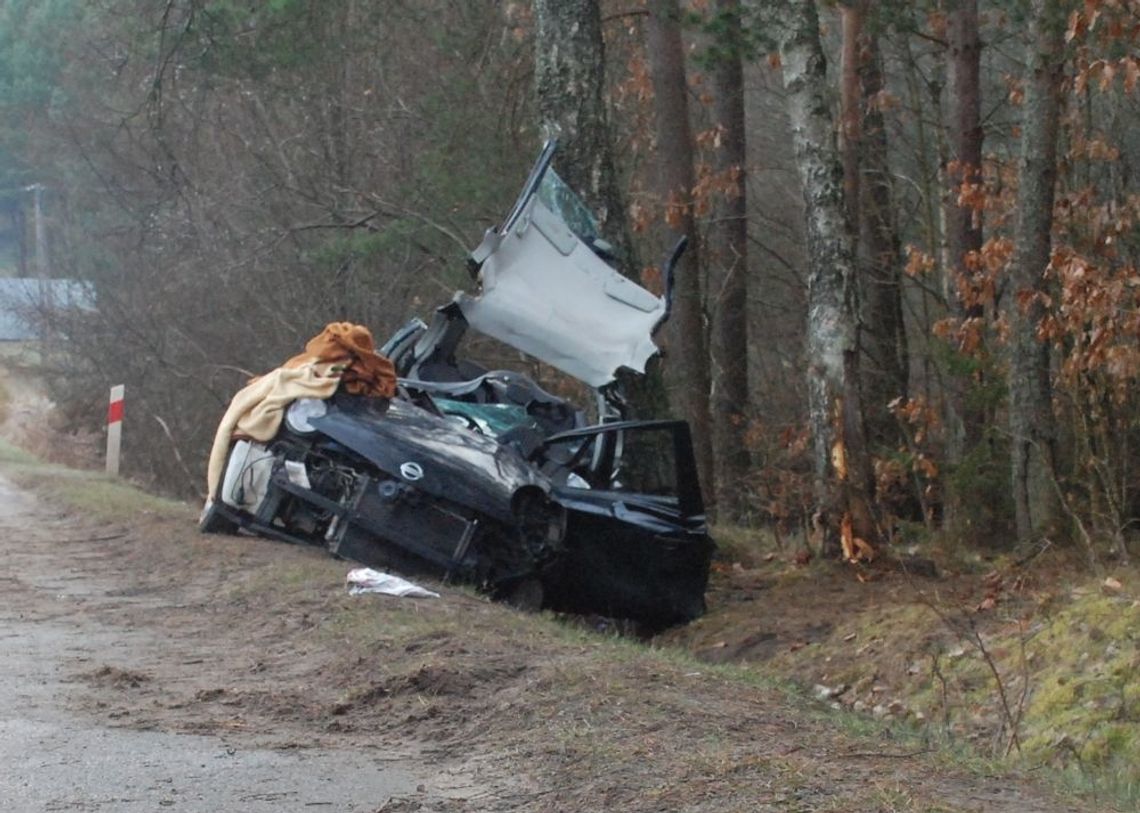 Bieszkowice. Kierująca nissanem uderzyła w drzewo