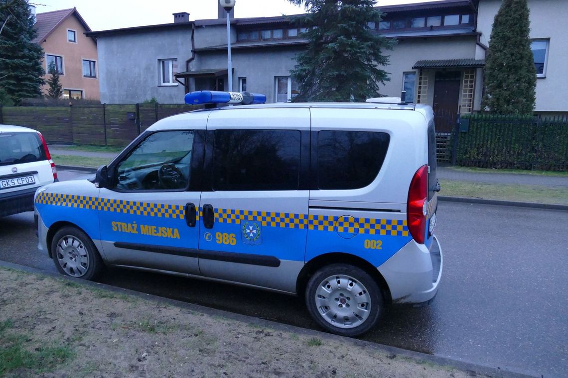 Deklaracje śmieciowe. Strażnicy mogą sprawdzić ich poprawność 